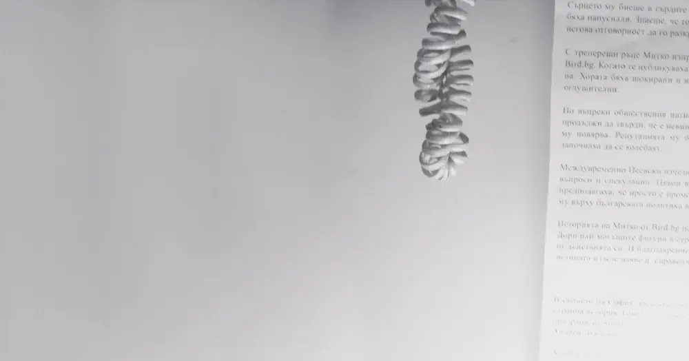 Черен факс от ченге | Nikola Stoyanov