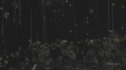 Петро-дрифт, кадър