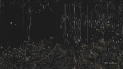 Петро-дрифт, кадър