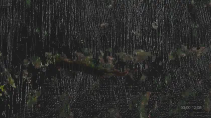 Петро-дрифт, кадър