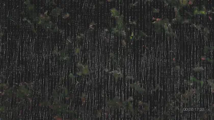 Петро-дрифт, кадър