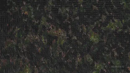 Петро-дрифт, кадър