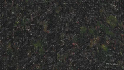 Петро-дрифт, кадър