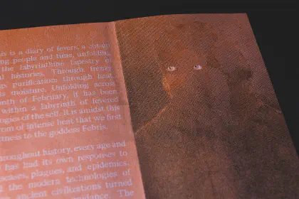Fever Dream (2023) | 