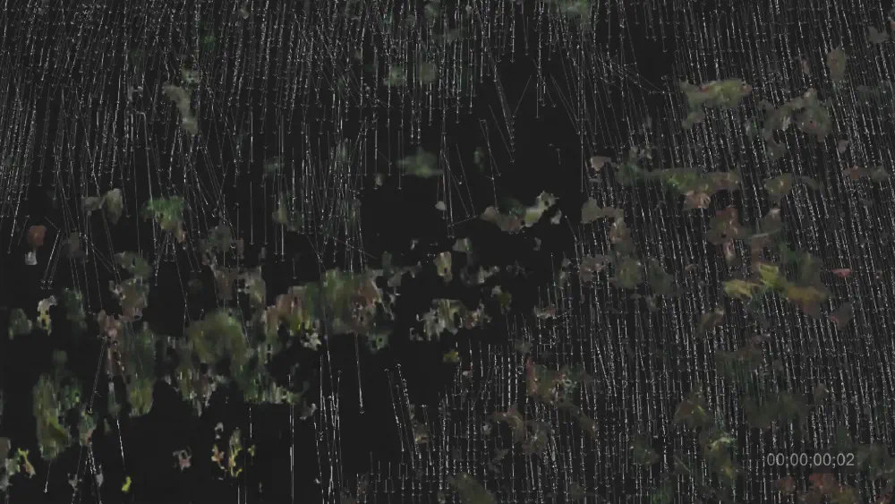 Petro-Drift | Nikola Stoyanov