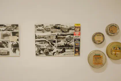 View of found archive.