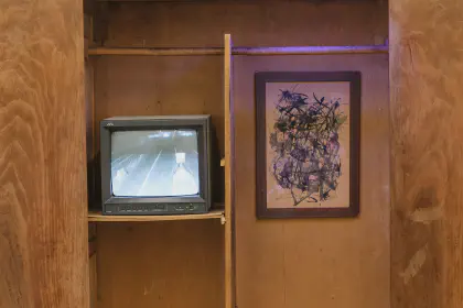 The Naphthalene Tapes (2026) — Nikola Stoyanov — Video installation presented in the Black Market exhibition at PUNTA Gallery, Sofia.